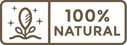 100% natural ingredients icon with leaf or herbal design
